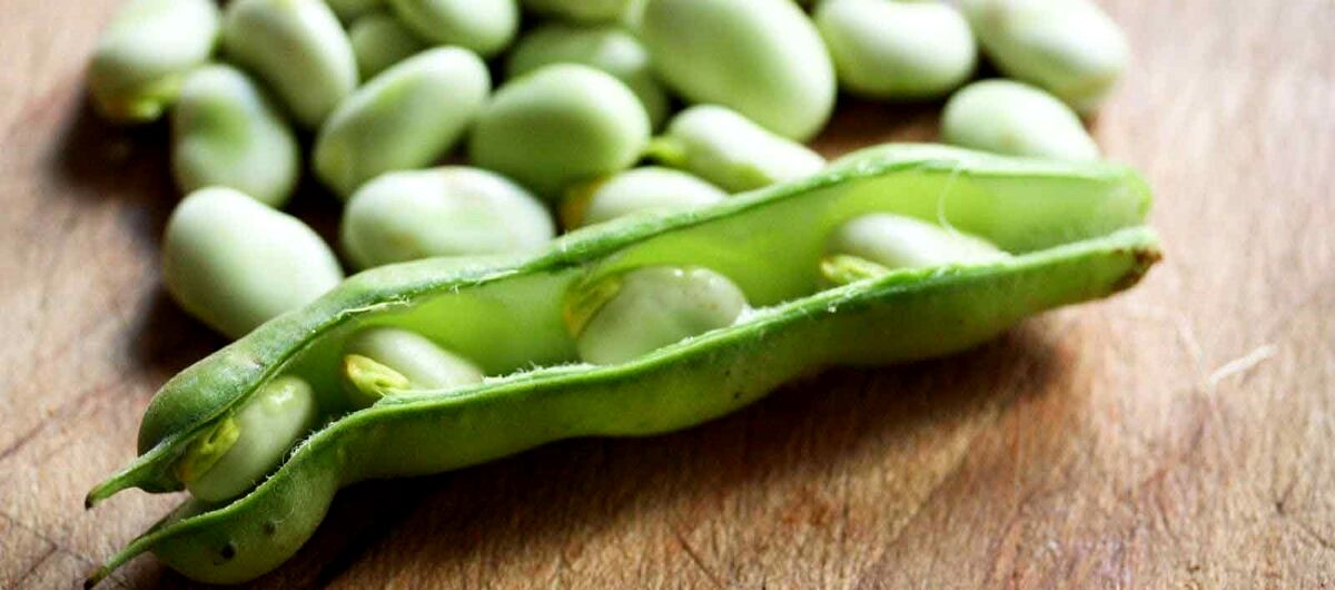باقلا برای پوست و مو