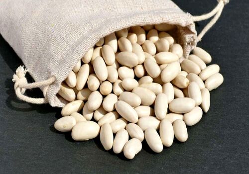 خواص لوبیا سفید؛ مطمئن ترین و ارزان ترین جایگزین برای گوشت 