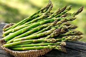 مفید ترین دمنوش گیاهی برای کاهش فشار خون
