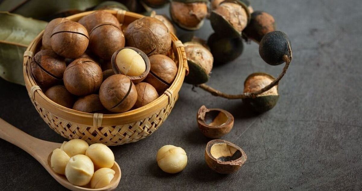 فندق