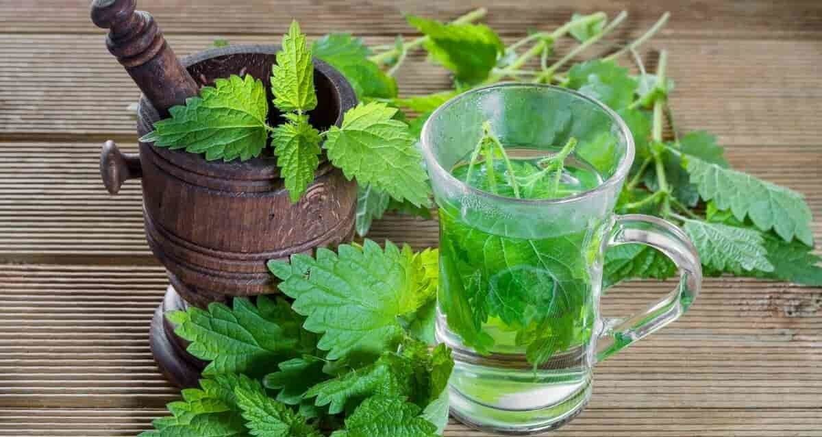 مصرف عرق گیاهی؛ موثرترین راهکار برای درمان زود انزالی 