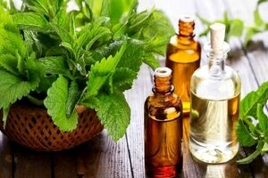عرق نعنا درجه یک رو بدون دستگاه و تو خونه درست کن! + طرز تهیه 