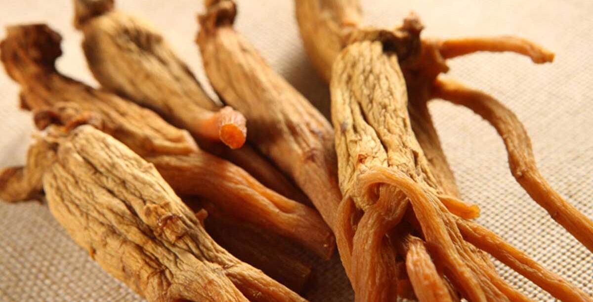 مضرات جینسینگ