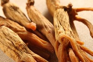 می دونستی جینسینگ با همه فوایدش، پرخطرترین گیاه داروییه؟