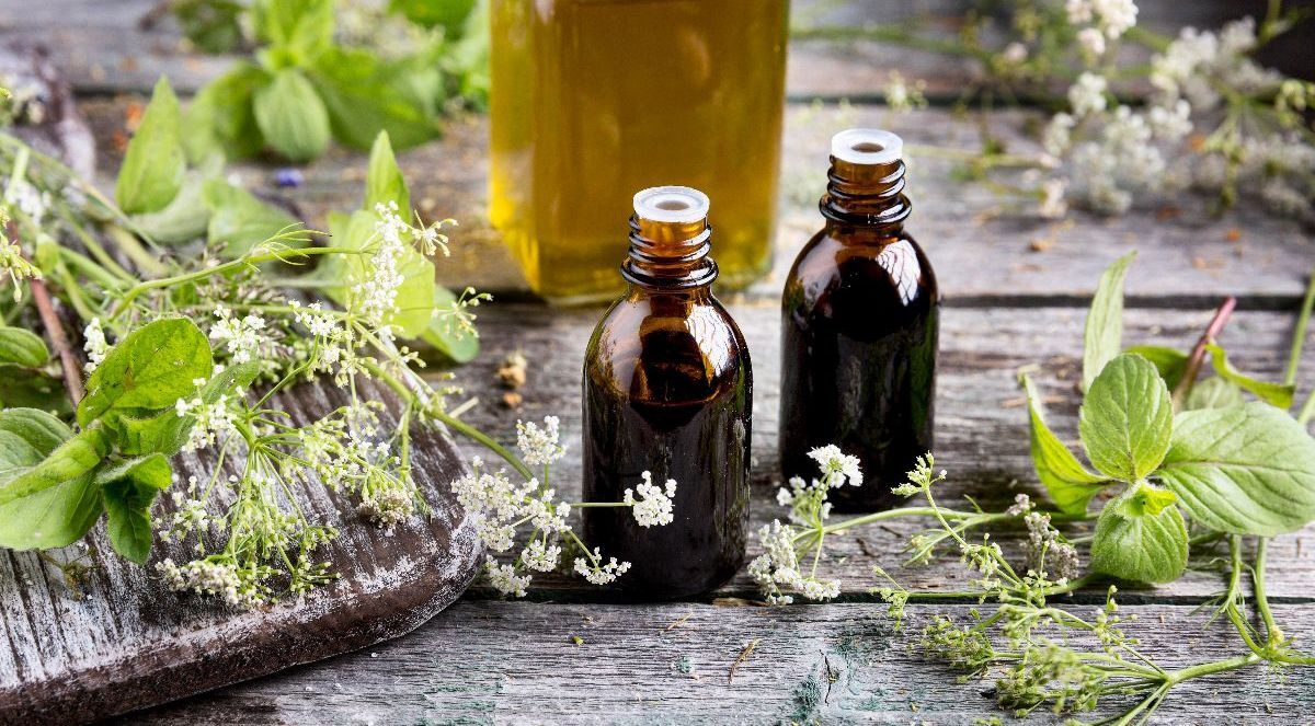 کبد چرب را با این عرقیات گیاهی پاکسازی کنید
