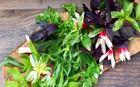 موثرترین شیوه های نگهداری سبزی خوردن برای طولانی مدت 