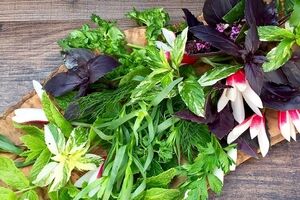 موثرترین شیوه های نگهداری سبزی خوردن برای طولانی مدت 