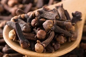 دم کرده میخک؛ چربی سوز ترین دمنوش برای لاغری + نحوه تهیه 