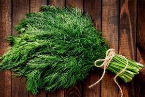 آشنایی با خواص بی نظیر شوید تازه و خشک + طبع و ارزش غذایی