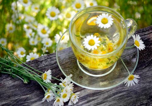 برای درمان ترش کردن معده چی بخوریم؟ 