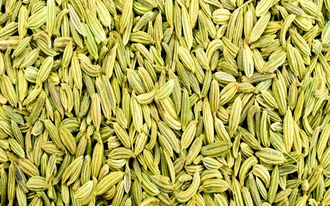 معرفی و خواص درمانی و دارویی رازیانه + طبع و موارد منع مصرف 