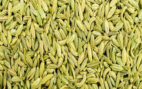 معرفی و خواص درمانی و دارویی رازیانه + طبع و موارد منع مصرف 