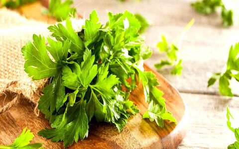 خواص جعفری برای سلامت بدن + طبع و ارزش غذایی 