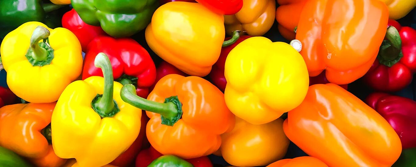 خواص انواع فلفل دلمه ای رنگی و تفاوت آنها + طبع و ارزش غذایی