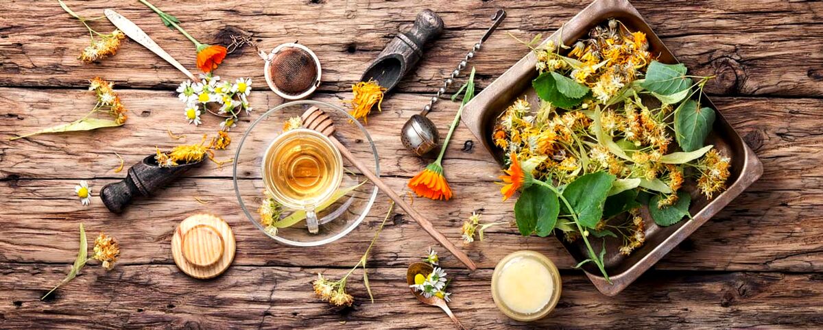 تاریخچه گیاهان دارویی