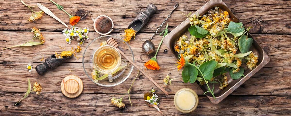 تاریخچه گیاهان دارویی