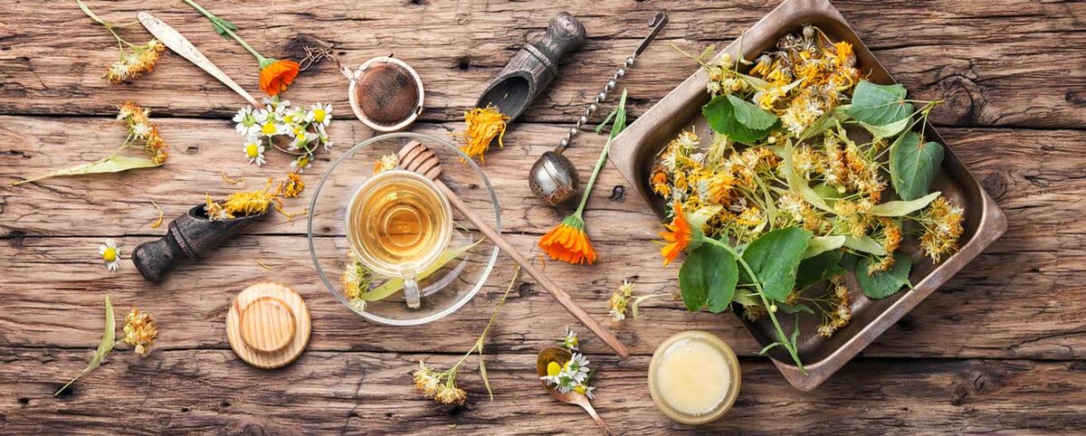 تاریخچه گیاهان دارویی