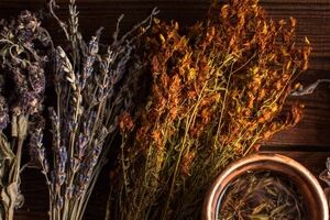 مکان یابی 1000 هکتار مراتع سمنان برای کشت گیاهان دارویی