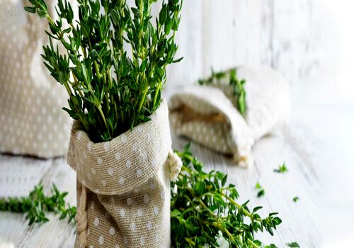 همه چیز درباره مرزه و خواص آن + طبع و شیوه مصرف