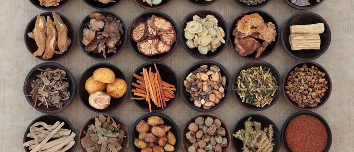 گیاهان دارویی با طبع سرد
