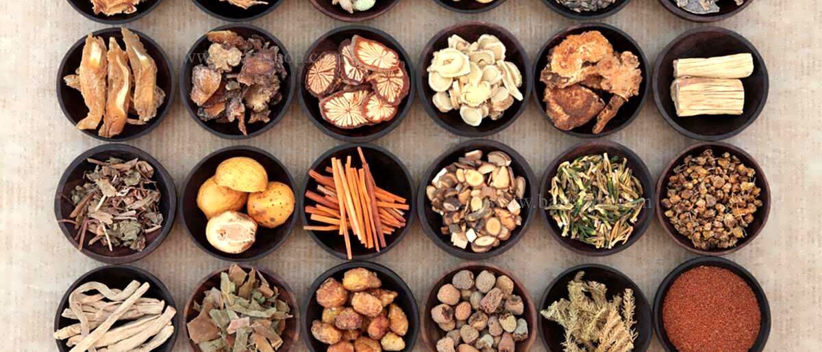 گیاهان دارویی با طبع سرد