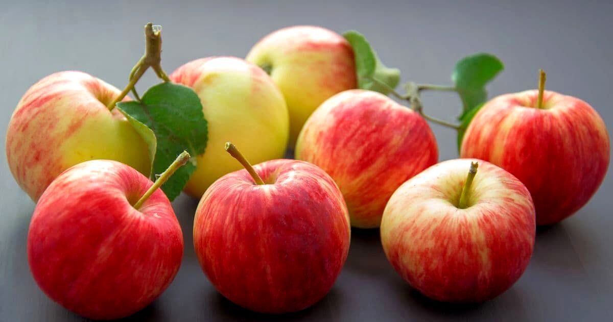 سیب رو شب بخوریم یا صبح؟ | بهترین زمان برای خوردن سیب