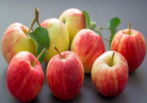 سیب رو شب بخوریم یا صبح؟ | بهترین زمان برای خوردن سیب