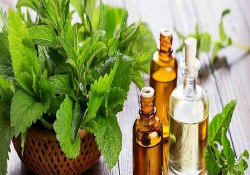 با خواص درمانی عرق پونه دیگه نیاز به دکتر رفتن نداری! + نحوه مصرف