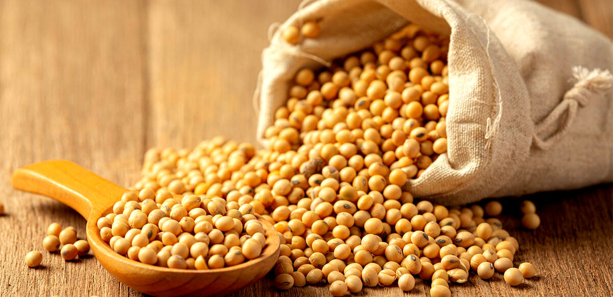 سویا برای پوست 