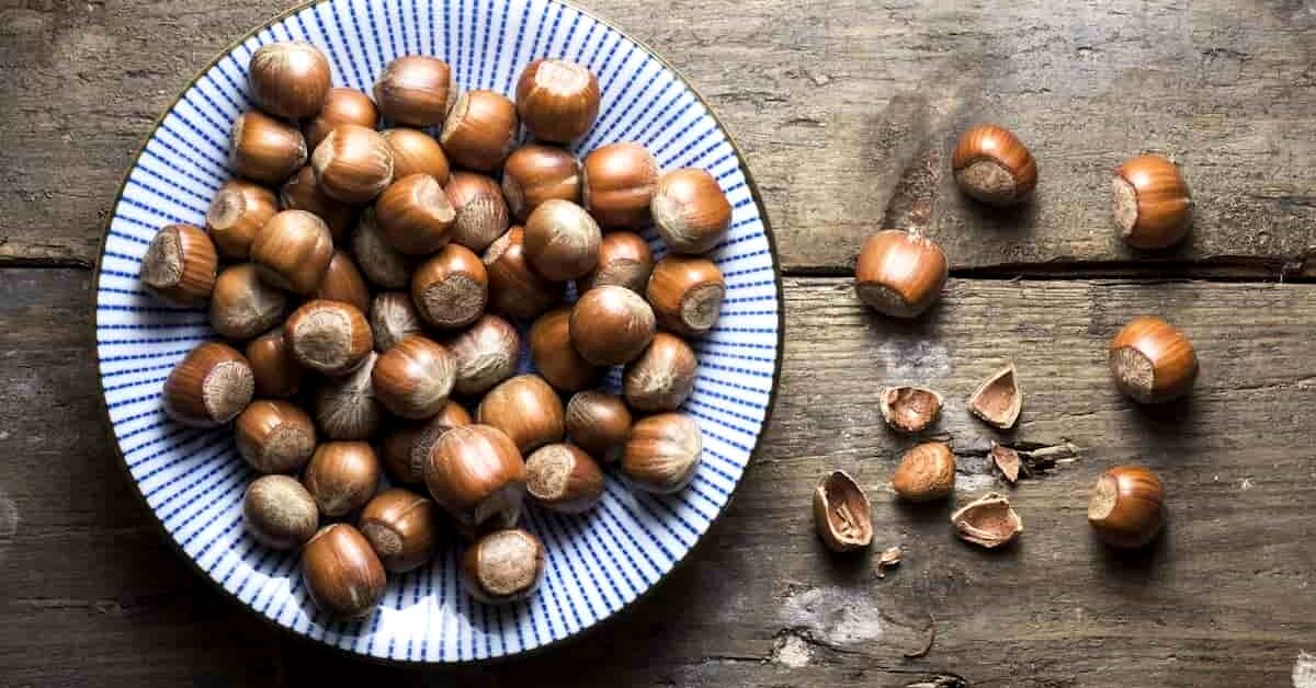 همه چیز درباره فندق و خواص آن + طبع و ارزش غذایی