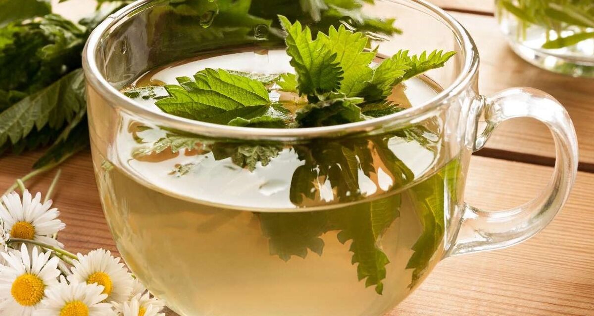 دمنوش گزنه