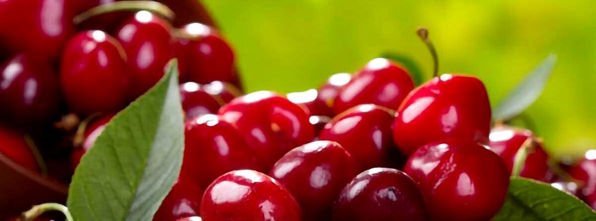 آلبالو برای مردان