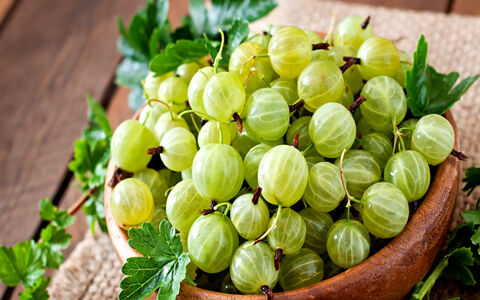 آشنایی با خواص آمله برای سلامت بدن + طبع 