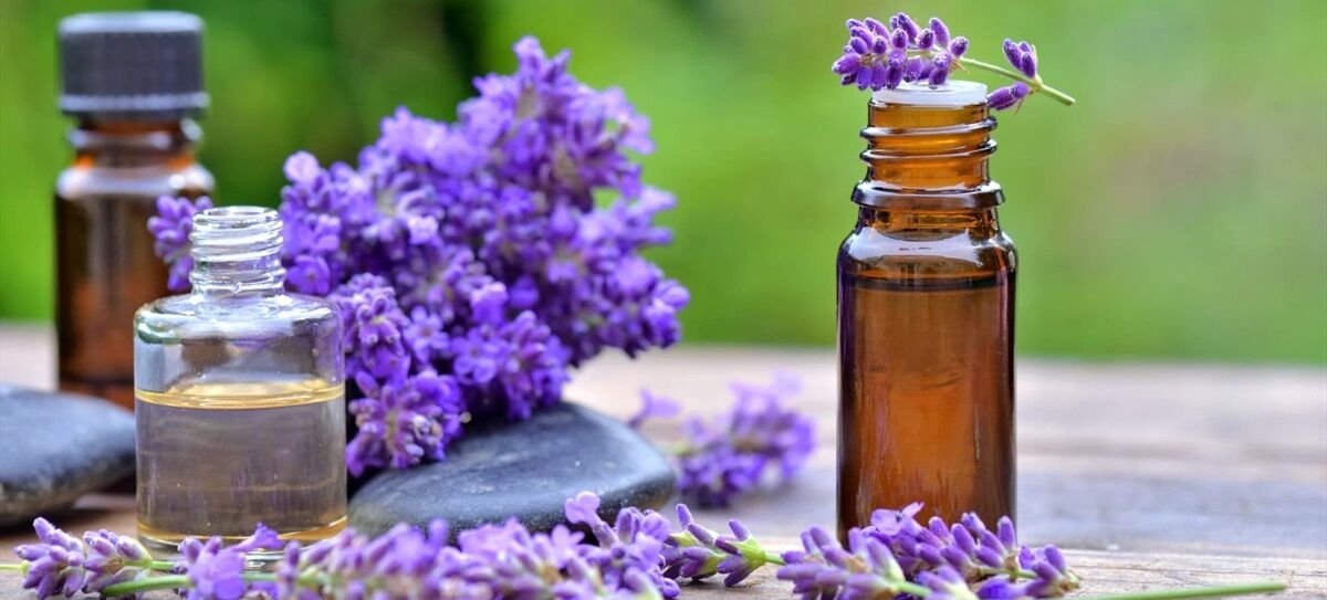 روغن اسطوخودوس برای نیش حشرات