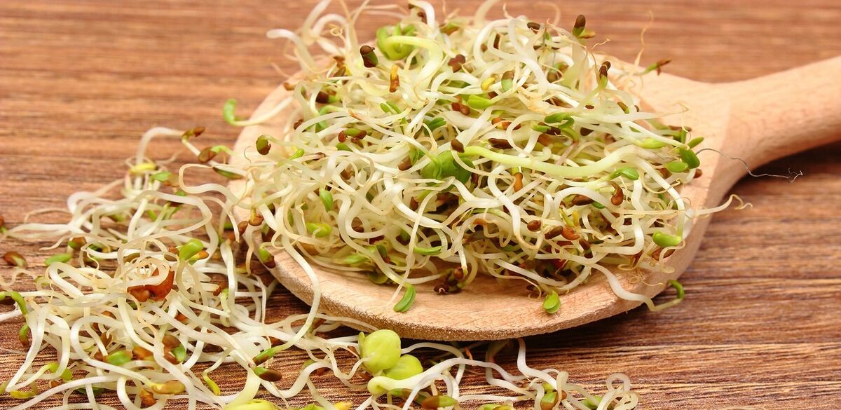 جوانه شبدر