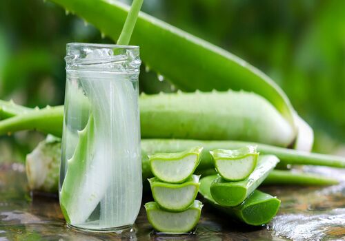 بی نظیرترین گیاه دارویی رو به یه شربت خنک تبدیل کن 