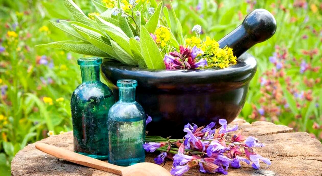 تاثیر عرق کاسنی برای تقویت اسپرم و باروری مردان + نحوه مصرف 