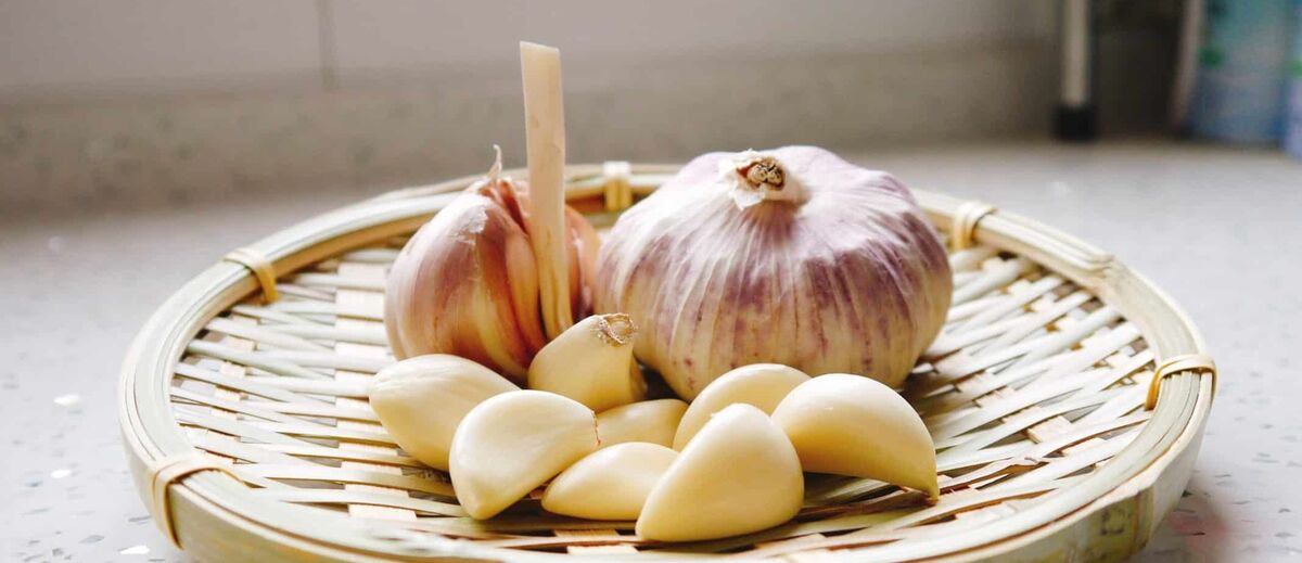 سیر برای پوست و مو 