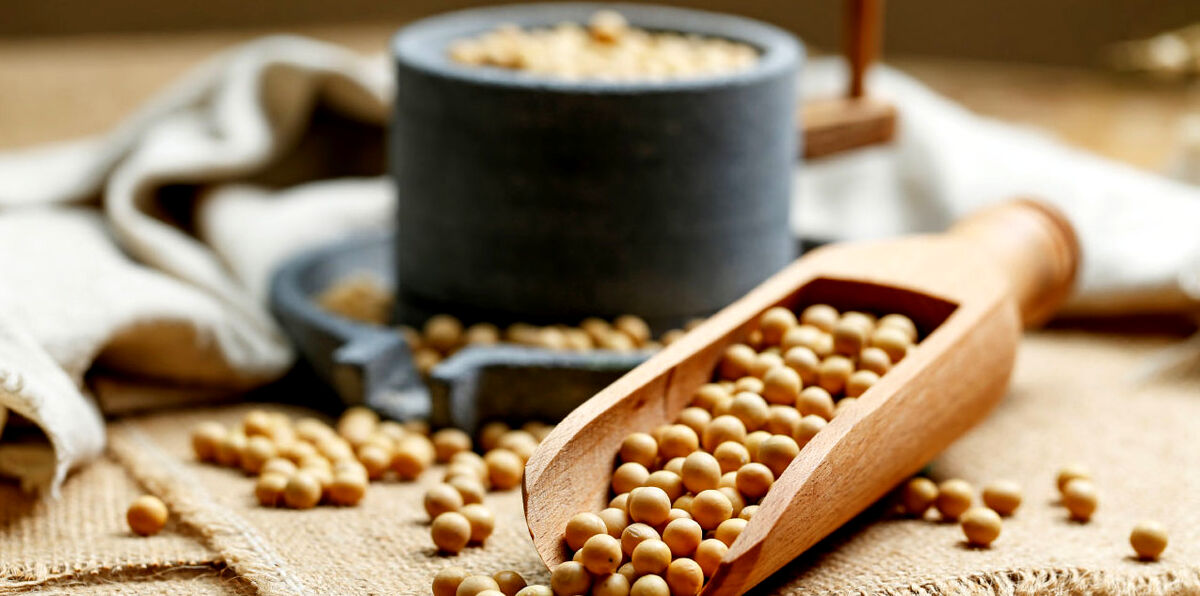 مضرات سویا