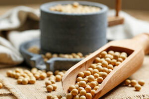 مصرف سویا برای این دسته افراد ممنوع است