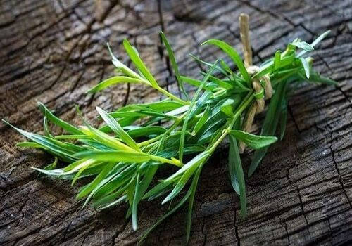 روغن مرزه و خواص دارویی آن برای سلامت بدن
