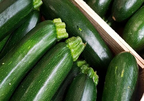 برای پیشگیری از آب مروارید، کدو سبز بخورید! 